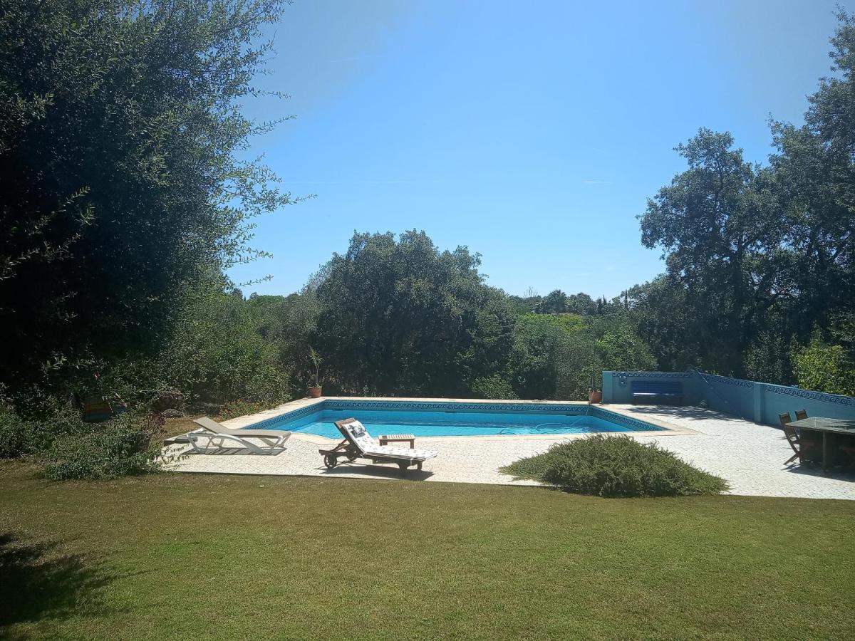 Sotogrande - Estancia En Plena Naturaleza - Abril Exterior foto
