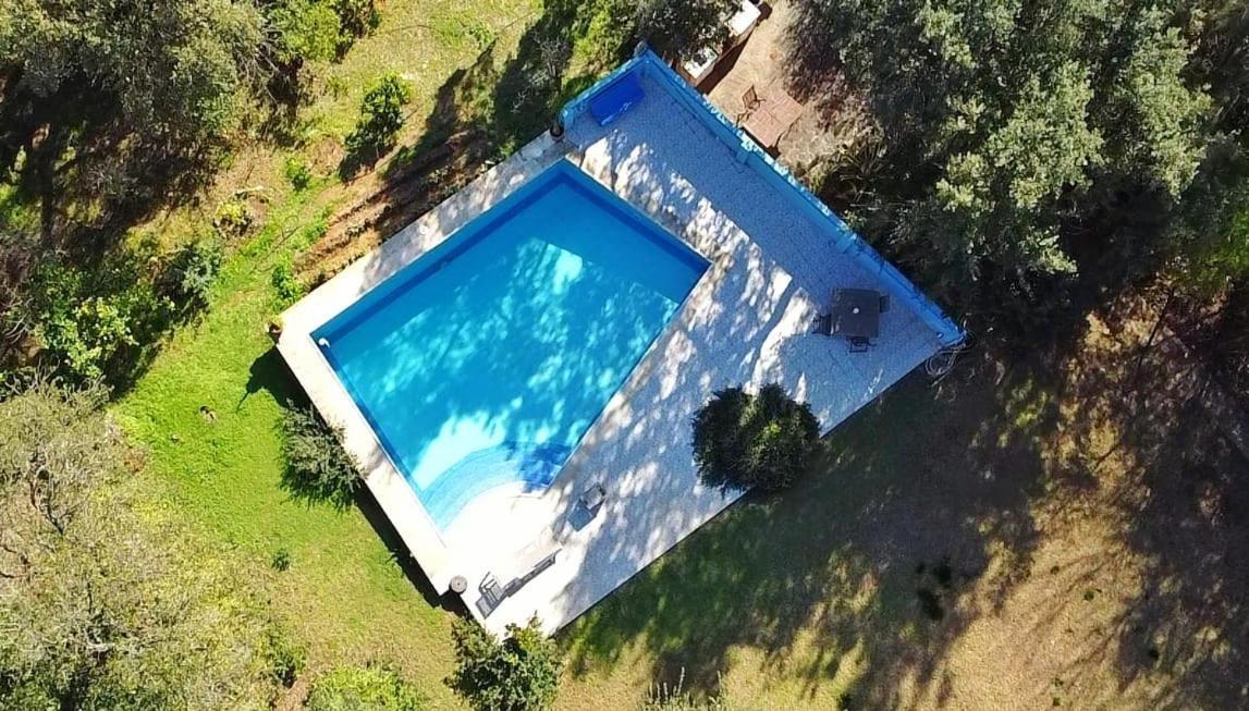 Sotogrande - Estancia En Plena Naturaleza - Abril Exterior foto