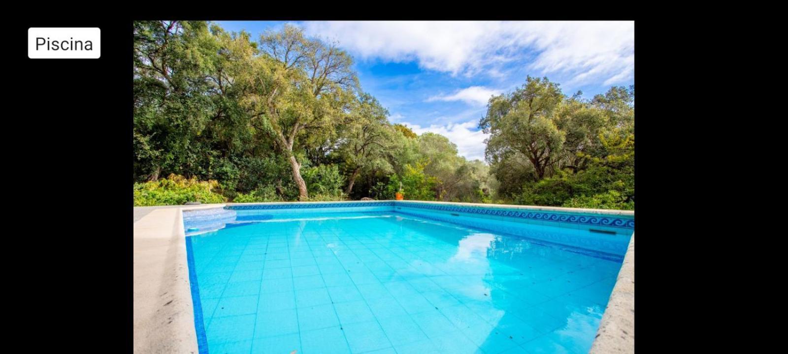 Sotogrande - Estancia En Plena Naturaleza - Abril Exterior foto