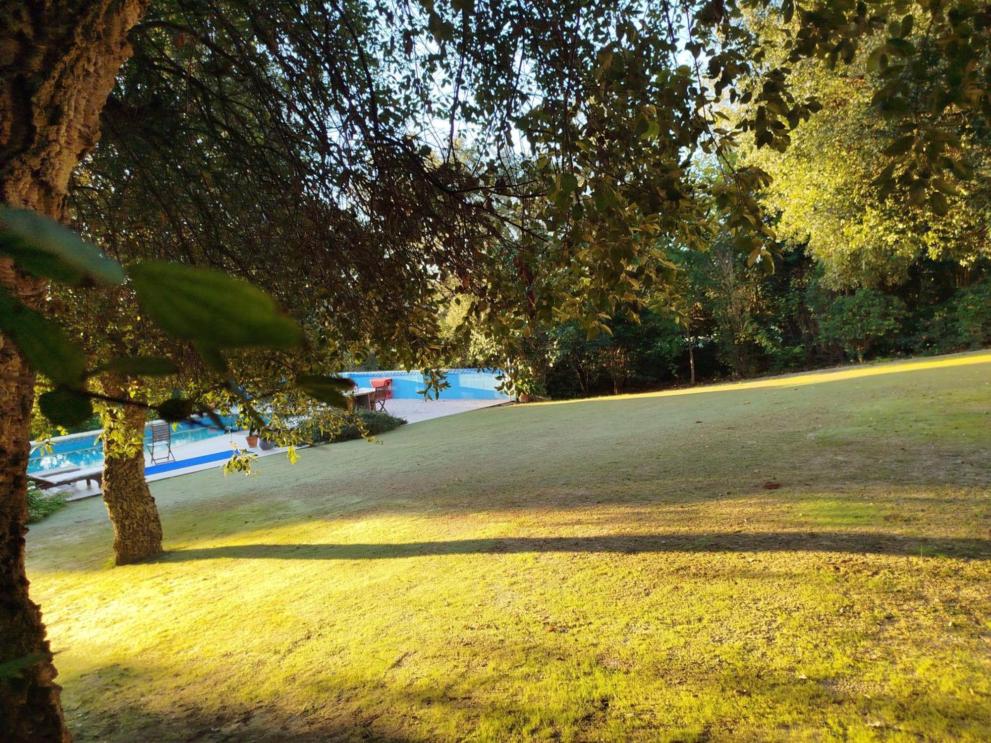 Sotogrande - Estancia En Plena Naturaleza - Abril Exterior foto